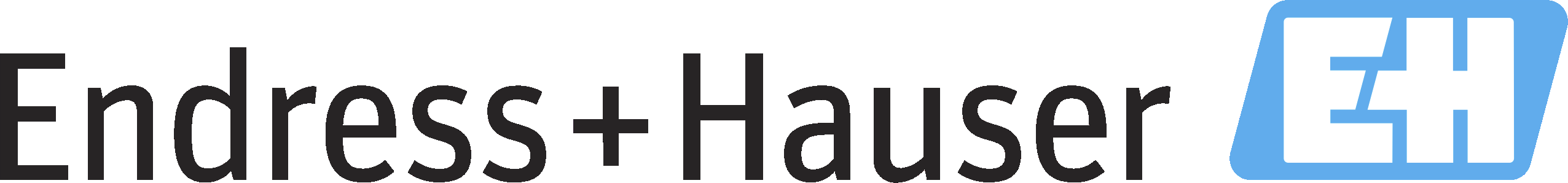 Endress+Hauser